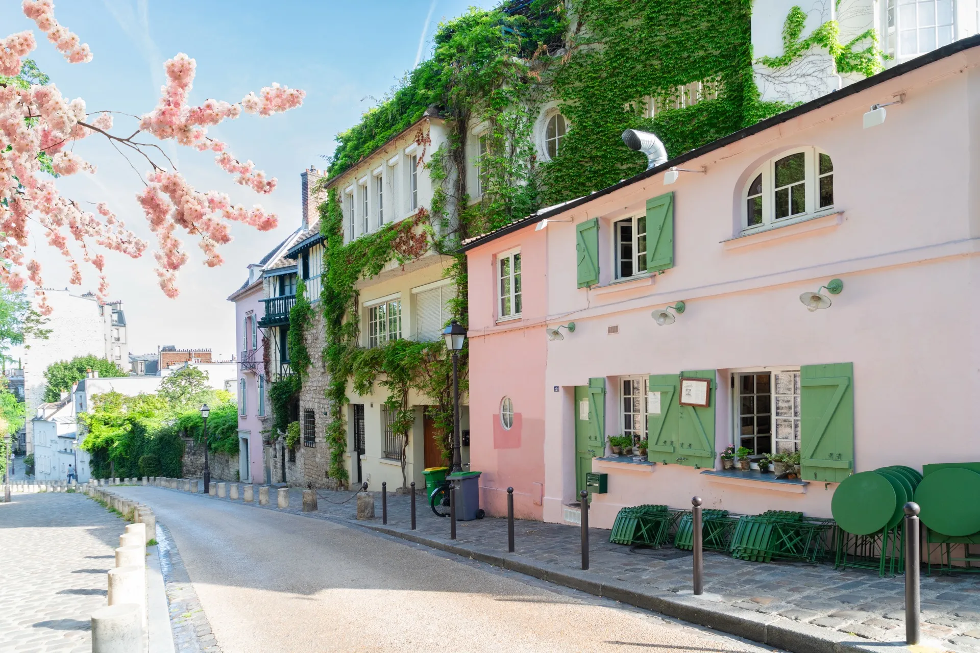 A charming Montmartre street in spring with cherry blossoms and ivy-covered facades